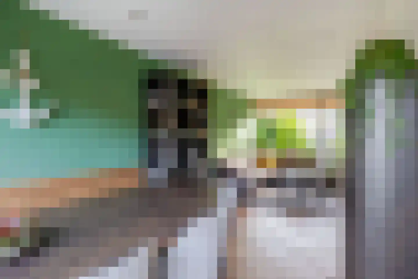 Beatrixstraat 6 Nieuw-Beijerland thumbnail 17