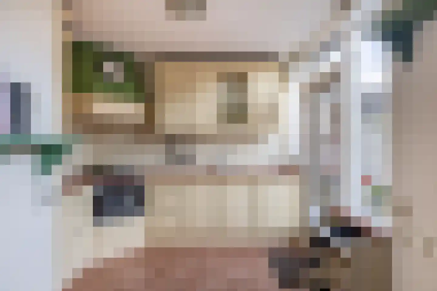 Beatrixstraat 6 Nieuw-Beijerland thumbnail 18