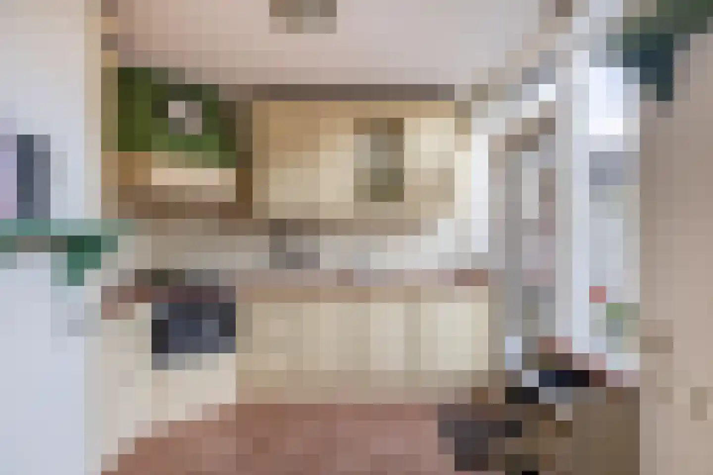 Beatrixstraat 6 Nieuw-Beijerland thumbnail 5