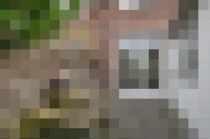 Beatrixstraat 6 Noordwijkerhout thumbnail 12