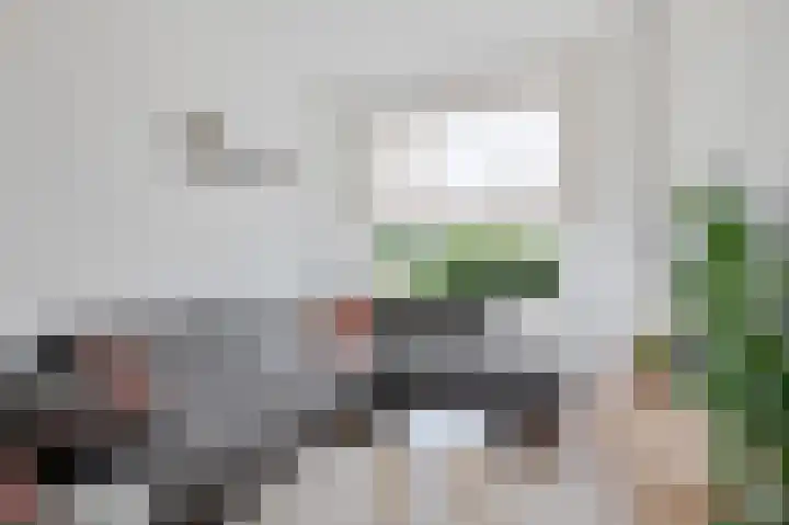 Beatrixstraat 6 Noordwijkerhout thumbnail 4
