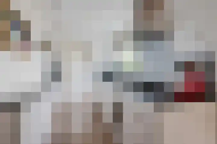 Beatrixstraat 6 Noordwijkerhout thumbnail 6