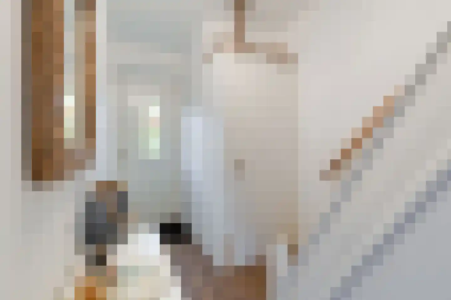 Beatrixstraat 6 Pijnacker thumbnail 11