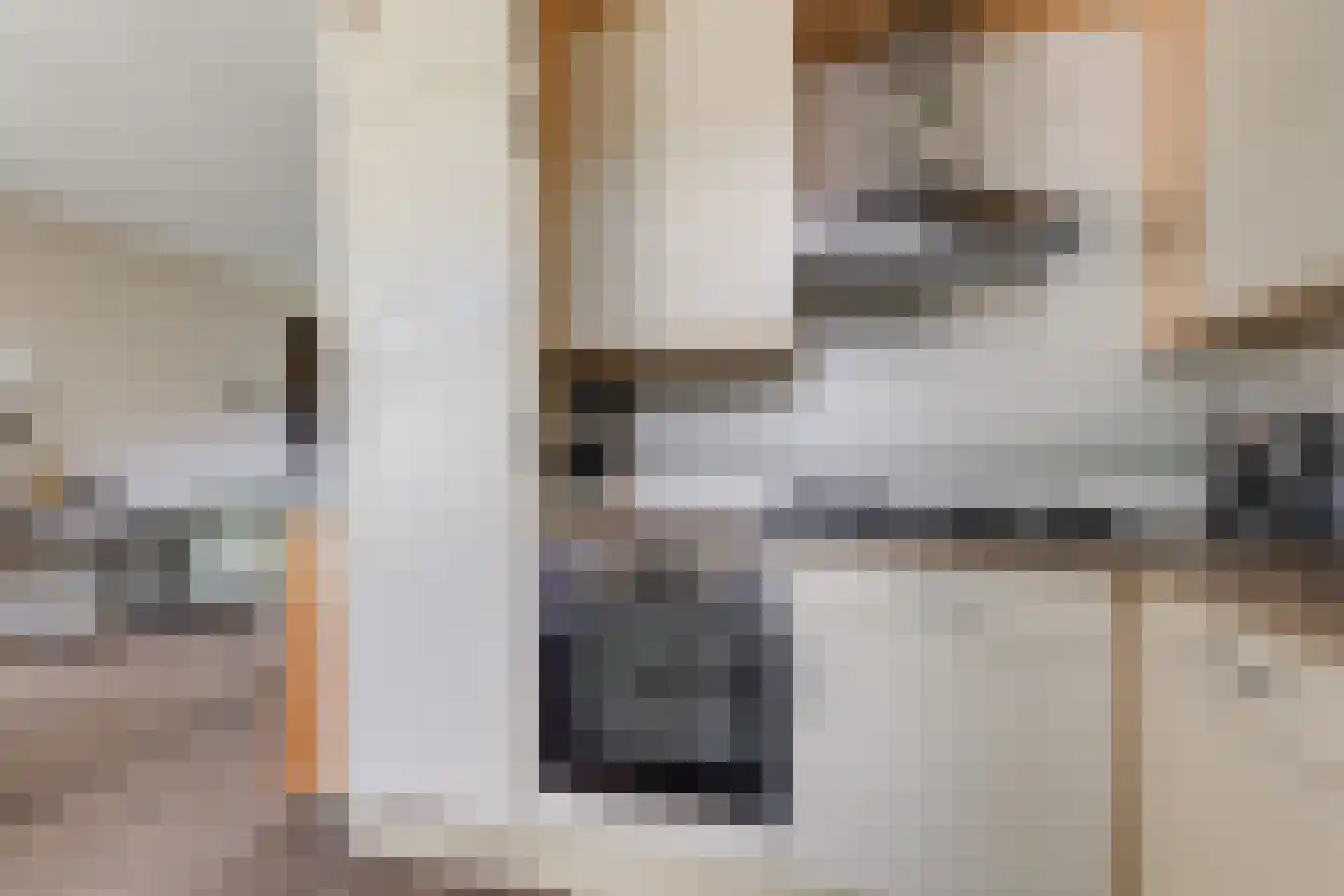 Beatrixstraat 6 Pijnacker thumbnail 21