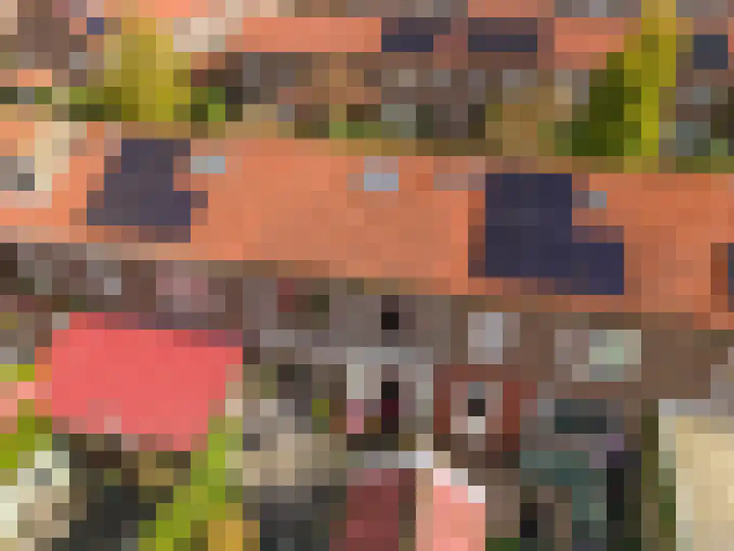 Beatrixstraat 6 Pijnacker thumbnail 31