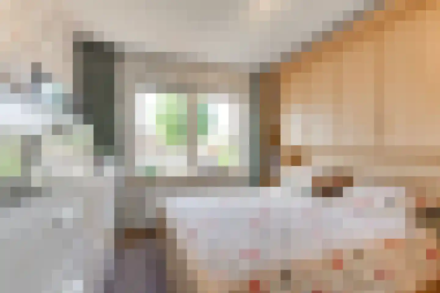 Beatrixstraat 6 Pijnacker thumbnail 33