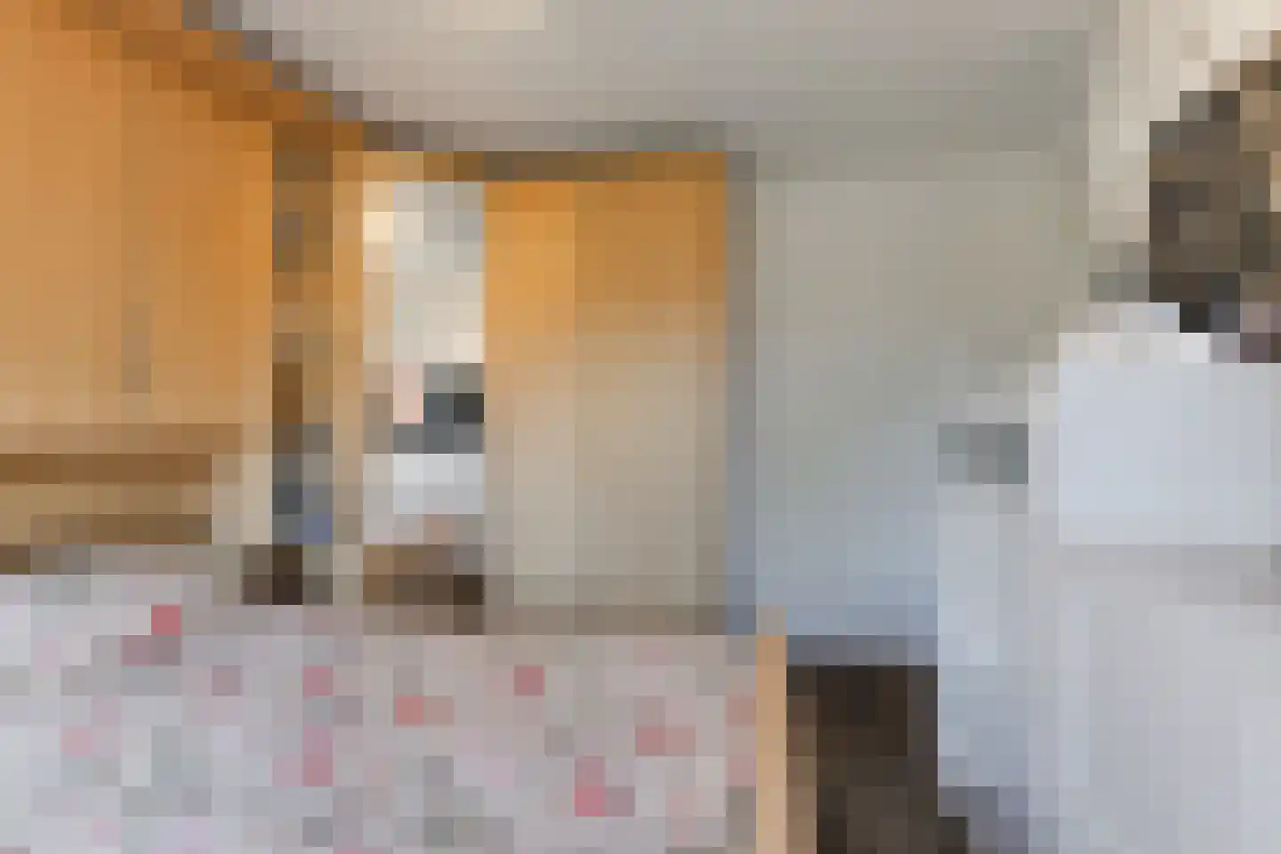 Beatrixstraat 6 Pijnacker thumbnail 34