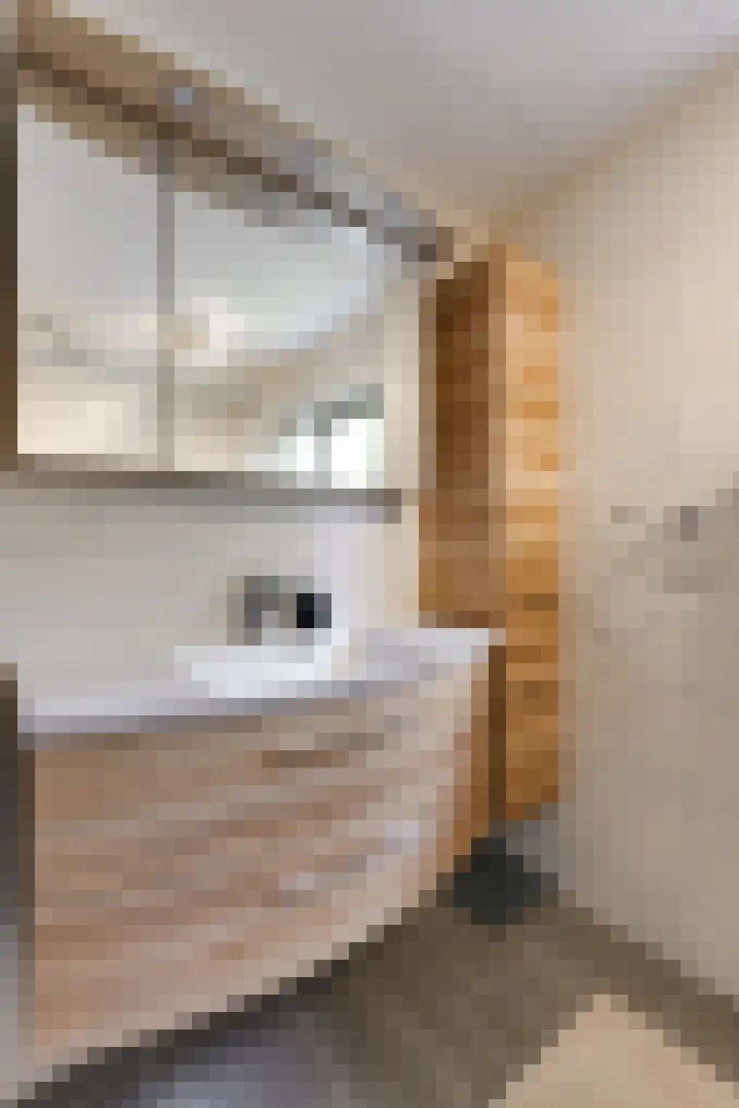 Beatrixstraat 6 Pijnacker thumbnail 36