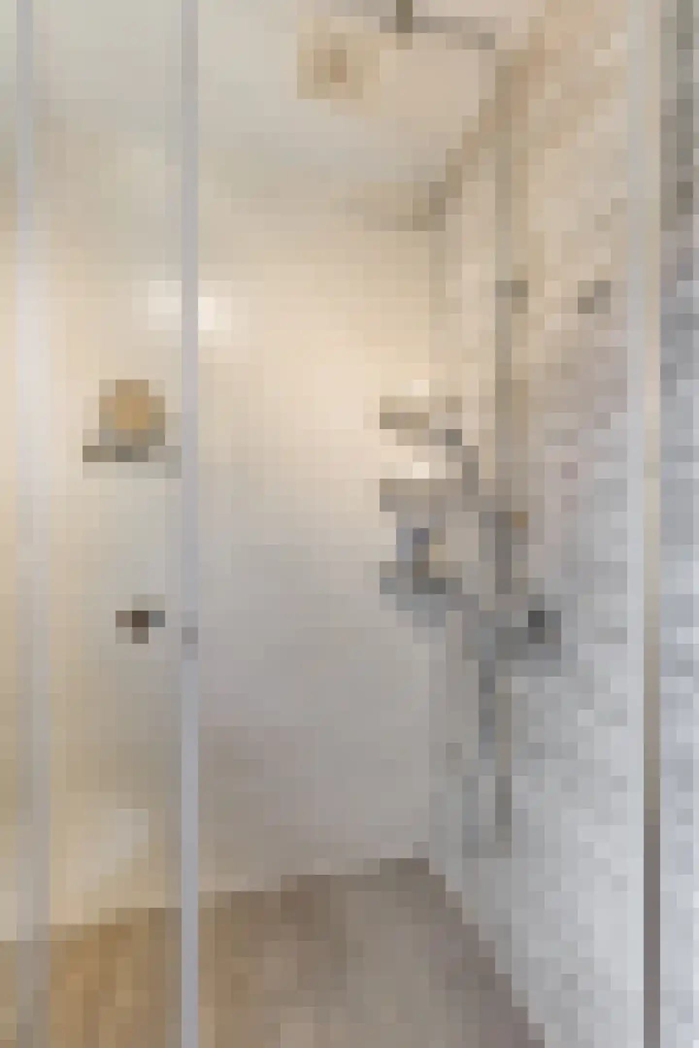 Beatrixstraat 6 Pijnacker thumbnail 37