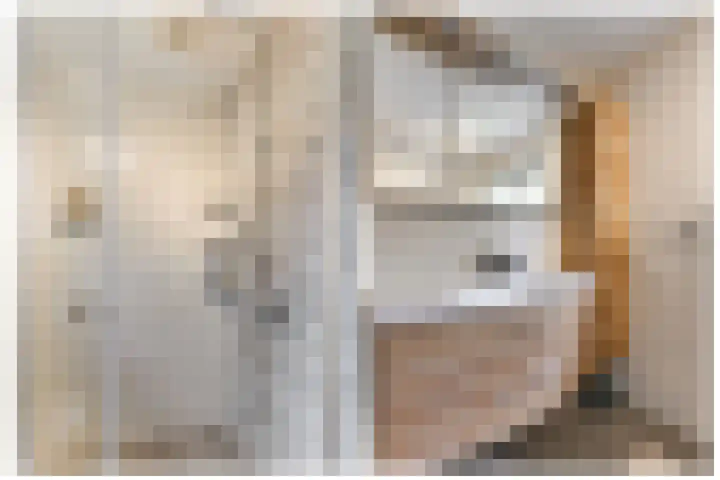 Beatrixstraat 6 Pijnacker thumbnail 38