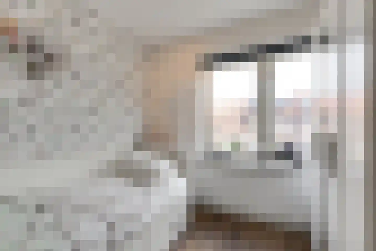 Beatrixstraat 6 Pijnacker thumbnail 39