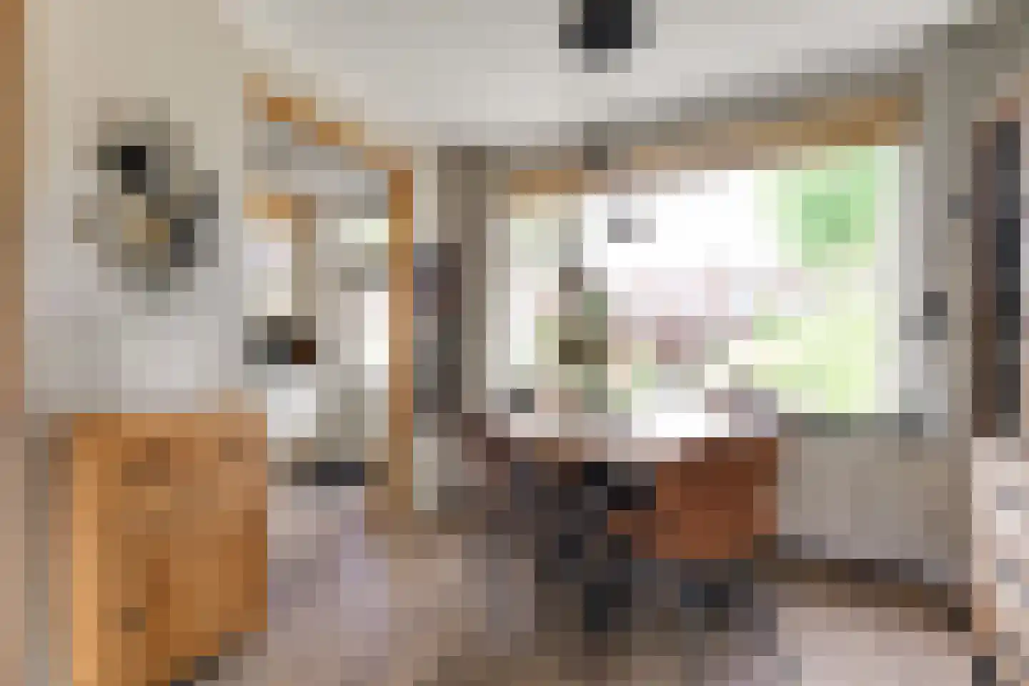 Beatrixstraat 6 Pijnacker thumbnail 4