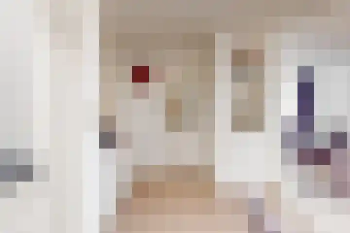 Beatrixstraat 6 Puth thumbnail 13