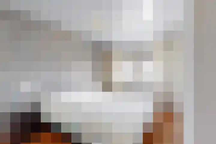 Beatrixstraat 6 Puth thumbnail 15