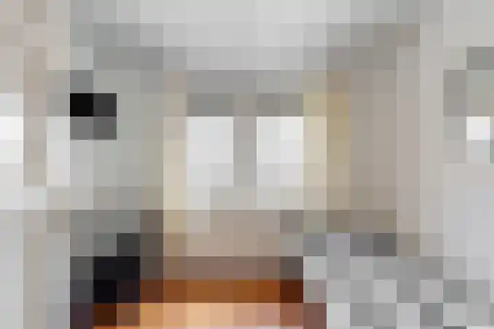 Beatrixstraat 6 Puth thumbnail 17