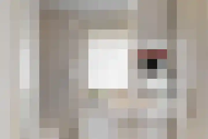 Beatrixstraat 6 Puth thumbnail 22