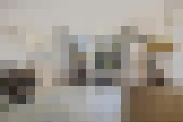 Beatrixstraat 6 Zwaag thumbnail 4
