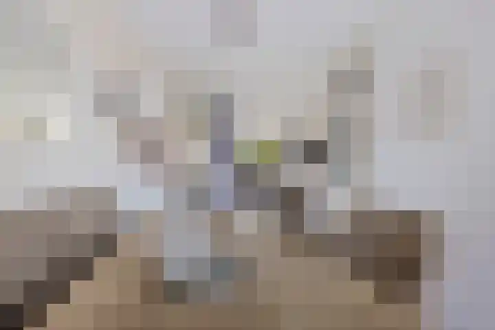 Beatrixstraat 6 Zwaag thumbnail 7