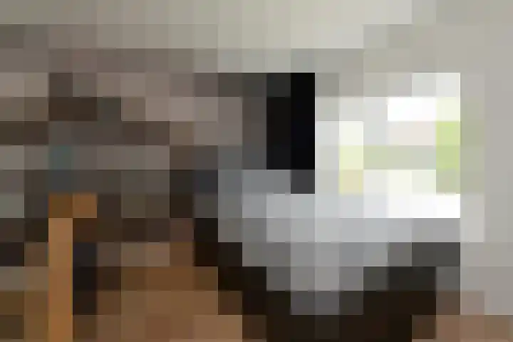 Beatrixstraat 67 Breukelen thumbnail 27
