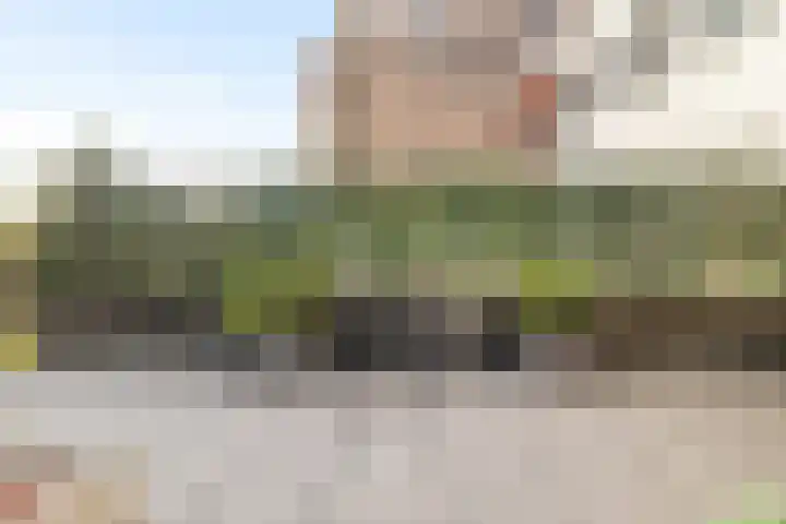 Beatrixstraat 68 G Den Helder thumbnail 17