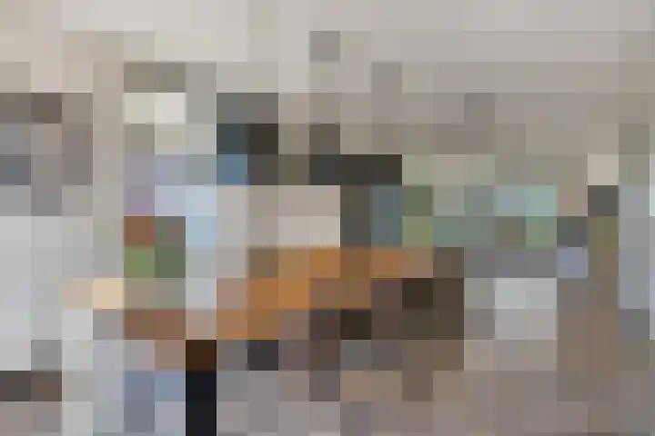Beatrixstraat 68 H Elst Ut thumbnail 10