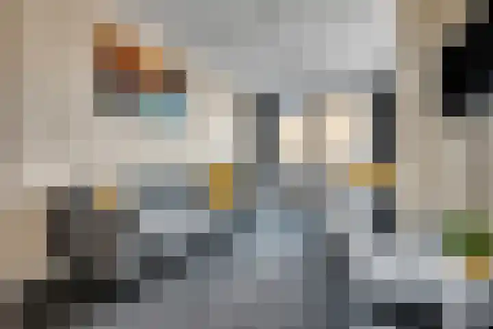 Beatrixstraat 68 H Elst Ut thumbnail 18