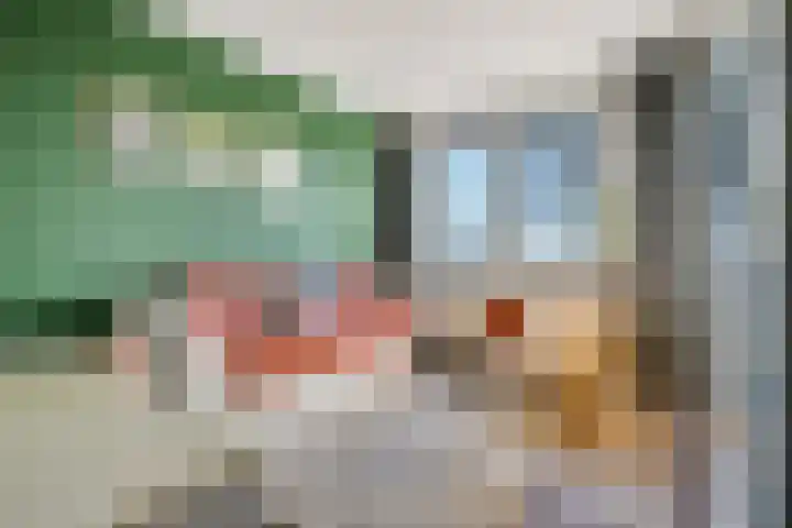 Beatrixstraat 68 H Elst Ut thumbnail 22
