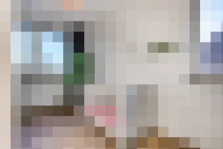 Beatrixstraat 68 H Elst Ut thumbnail 24