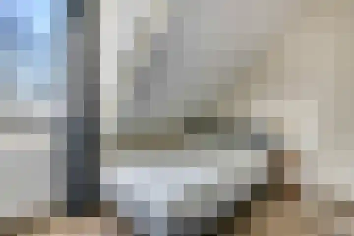 Beatrixstraat 68 H Elst Ut thumbnail 28