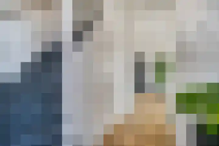 Beatrixstraat 68 H Elst Ut thumbnail 5