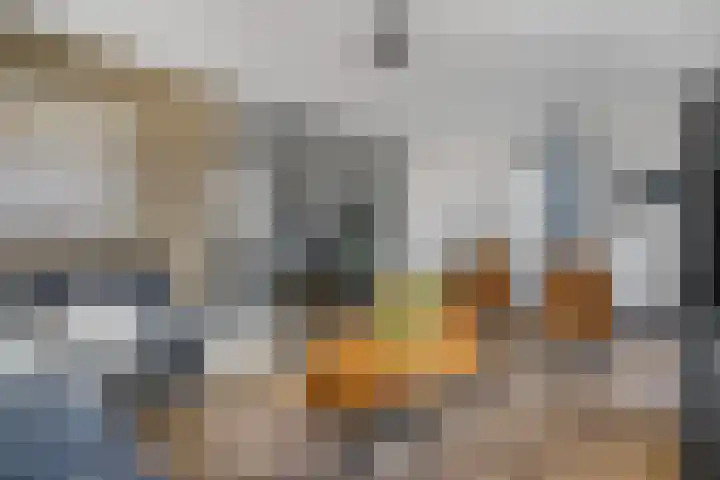 Beatrixstraat 68 H Elst Ut thumbnail 8