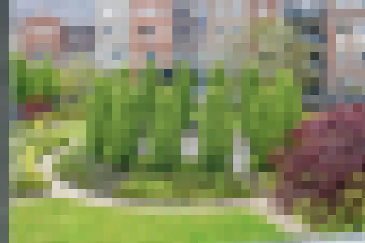 Beatrixstraat 69 Oldenzaal thumbnail 16