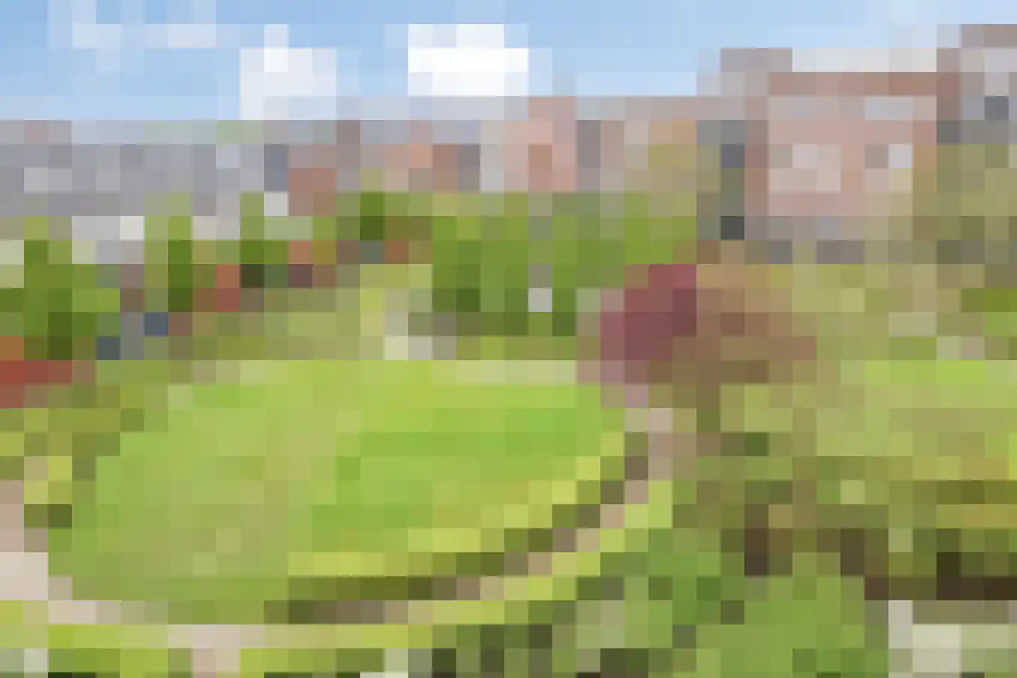 Beatrixstraat 69 Oldenzaal thumbnail 24
