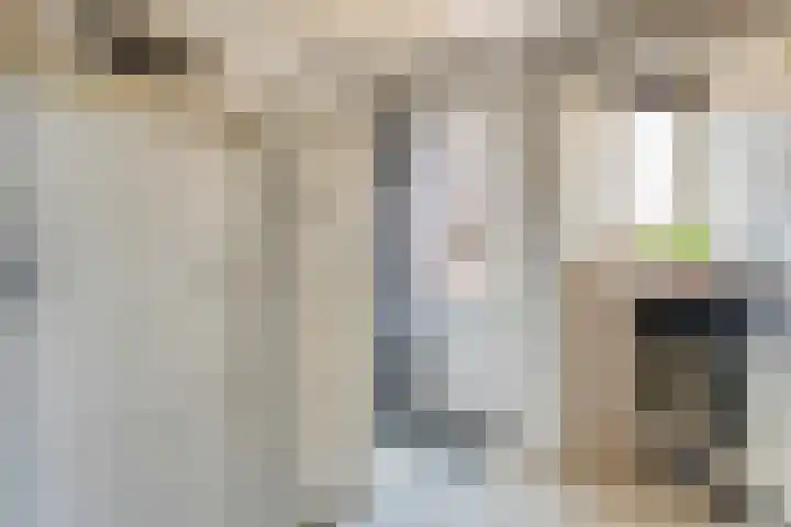 Beatrixstraat 7 Dalfsen thumbnail 15