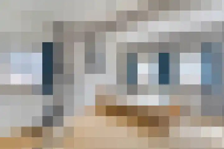 Beatrixstraat 7 Dalfsen thumbnail 20