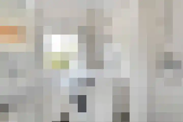 Beatrixstraat 7 Dalfsen thumbnail 25