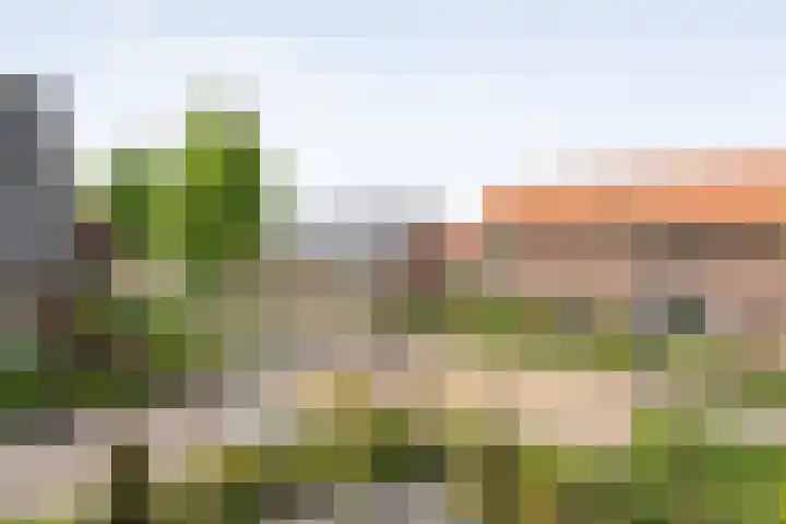 Beatrixstraat 7 Dalfsen thumbnail 27
