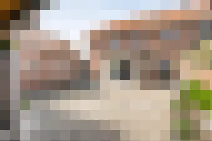 Beatrixstraat 7 Dalfsen thumbnail 30