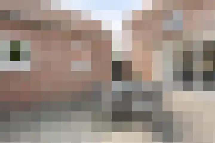Beatrixstraat 7 Dalfsen thumbnail 31