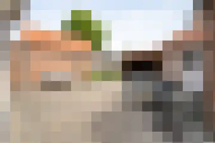 Beatrixstraat 7 Dalfsen thumbnail 32