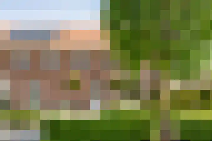 Beatrixstraat 7 Dalfsen thumbnail 36