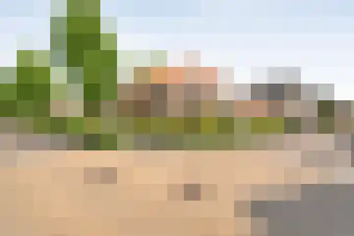 Beatrixstraat 7 Dalfsen thumbnail 38