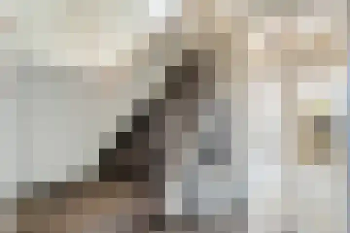 Beatrixstraat 7 Dalfsen thumbnail 5