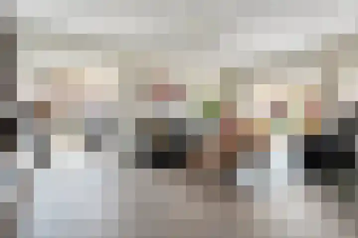 Beatrixstraat 7 Dalfsen thumbnail 6