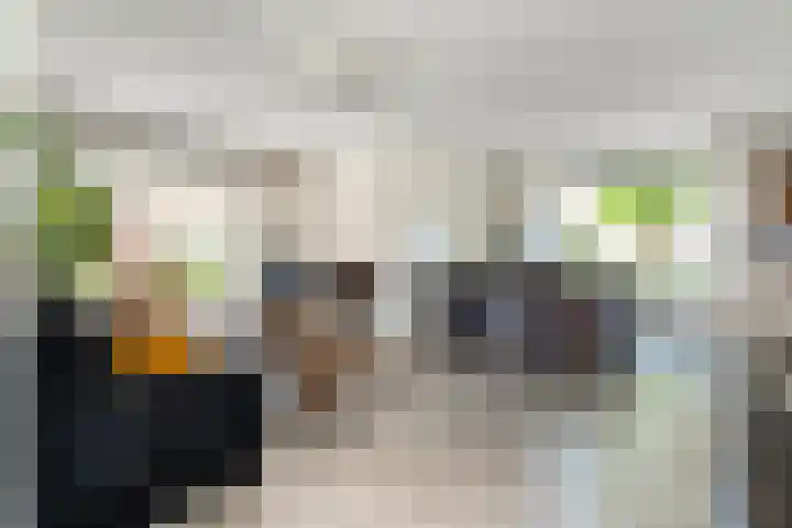 Beatrixstraat 7 Dalfsen thumbnail 7