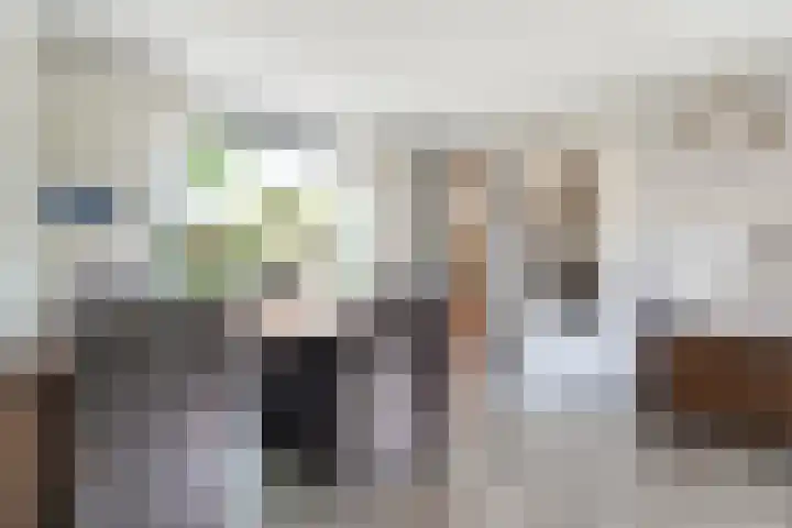 Beatrixstraat 7 Dalfsen thumbnail 8