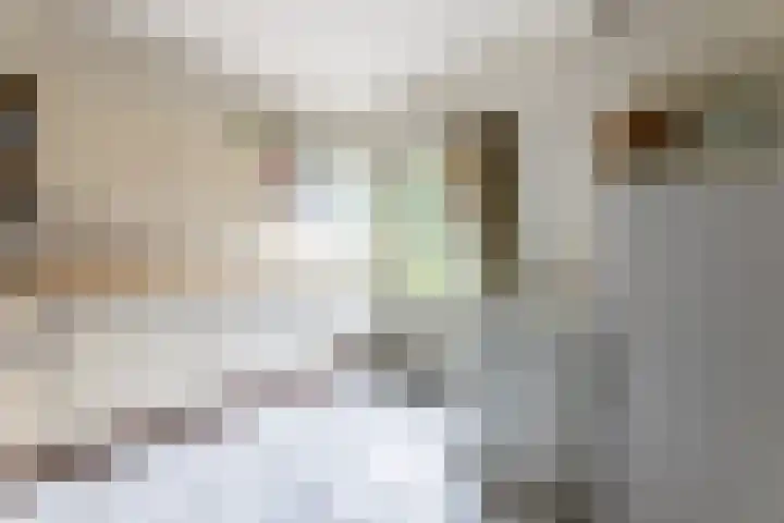 Beatrixstraat 8 Groenlo thumbnail 20