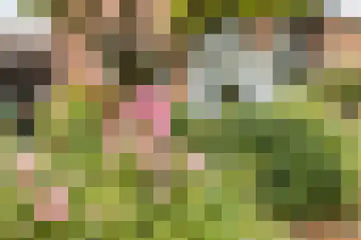 Beatrixstraat 8 Groenlo thumbnail 5