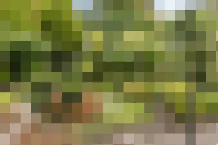 Beatrixstraat 8 Groenlo thumbnail 54