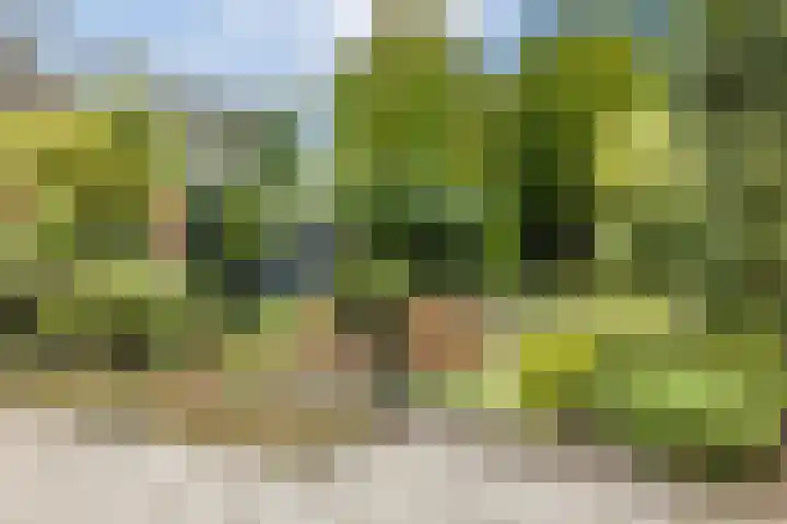 Beatrixstraat 8 Groenlo thumbnail 55